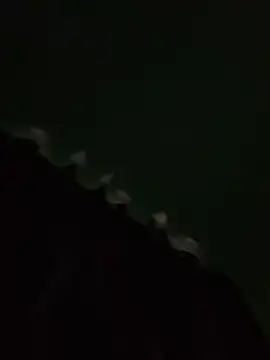 PIROCAGG21 online show from September 11, 11:20 am