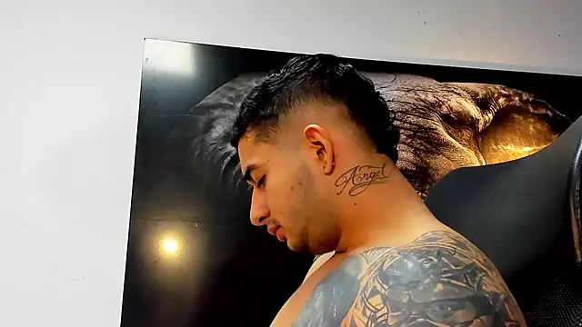 king falconer online show from November 21, 2:43 am