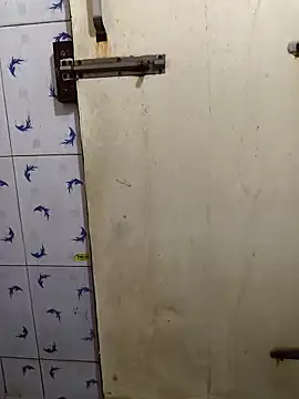 Telugu abbai 69 online show from February 22, 6:04 am