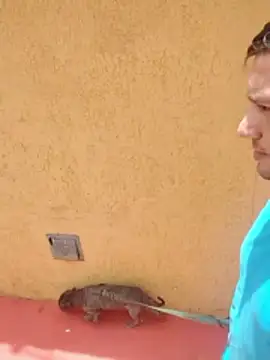 jeff pepoer online show from January 7, 3:39 pm