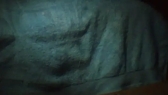 pietje1991 online show from February 28, 2:32 am