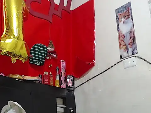 Npga96 online show from February 20, 6:59 am