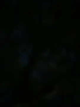 Dolla-Billlz online show from October 12, 12:37 am