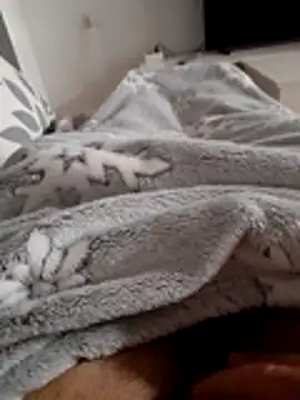 ratoncito 3 online show from November 10, 12:59 am