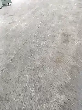 vasgabri online show from January 13, 11:36 am