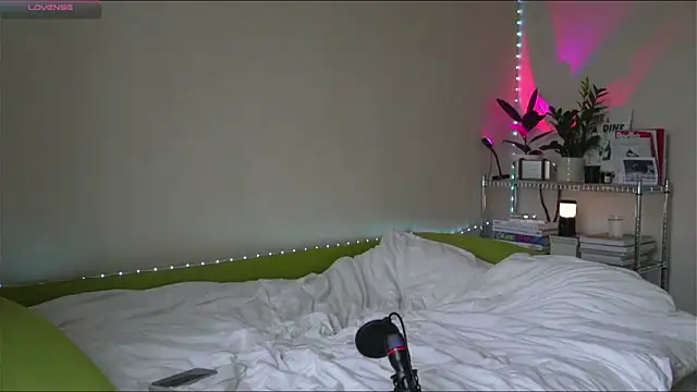 BoyTurtle online show from November 9, 11:14 am