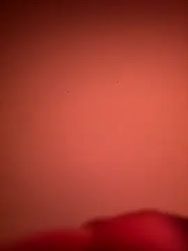 jerkoffhunk online show from October 5, 3:27 pm