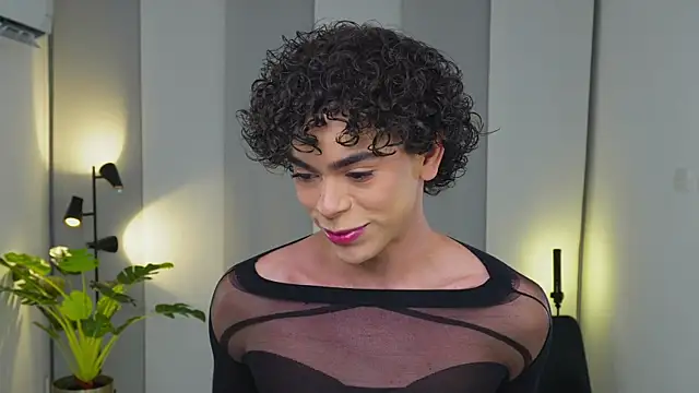 Timmyshy  online show from November 11, 3:22 am