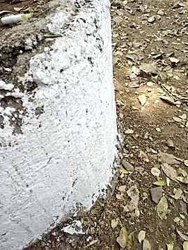 yung cplz online show from February 7, 7:37 am