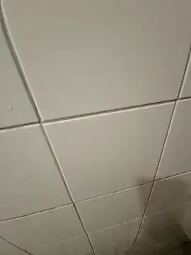 smelol online show from September 19, 11:26 pm