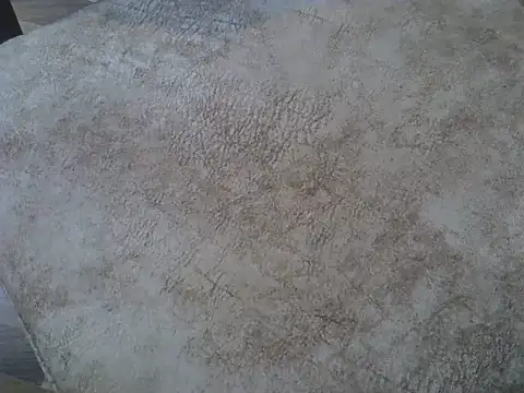 cem07060 online show from November 23, 8:31 pm