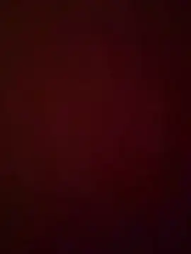 bananasex204 online show from February 25, 3:46 pm