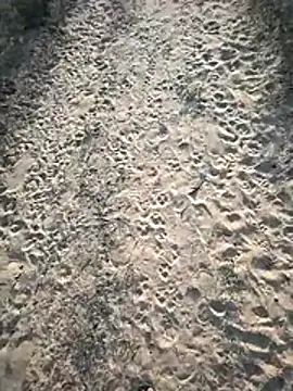 SmartLoda143 online show from November 19, 11:10 am