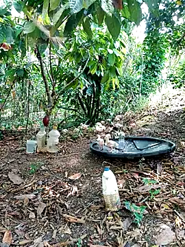 AlphaAlterX online show from March 2, 3:52 pm