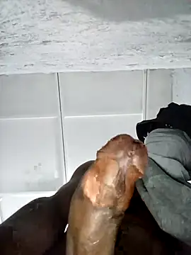 Everyda online show from December 5, 8:49 pm