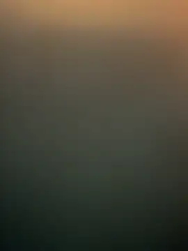 dlasian2026 online show from September 14, 10:34 pm