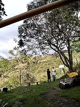 sky-wolves online show from October 25, 9:05 pm