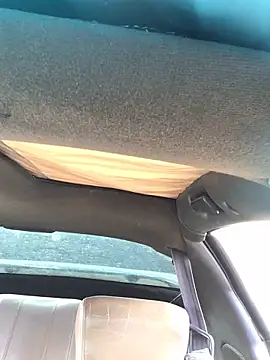 countryboi2002 online show from December 22, 8:17 pm