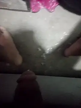 polla6459 online show from October 2, 4:27 am