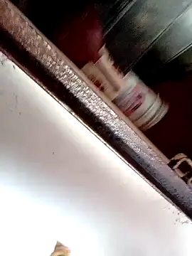 your crush 2 online show from September 29, 10:24 am