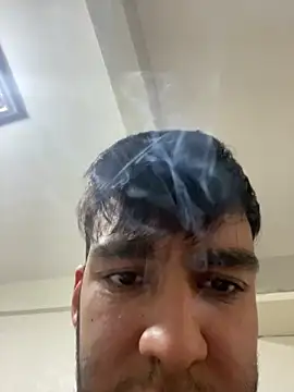 sertsikici20cm   online show from October 10, 11:48 am