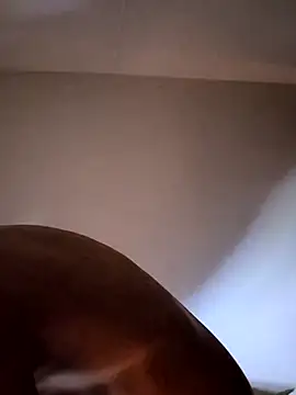 felipelon07 online show from November 28, 5:10 am