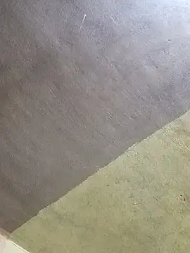 Cogelonregio online show from October 26, 5:20 am