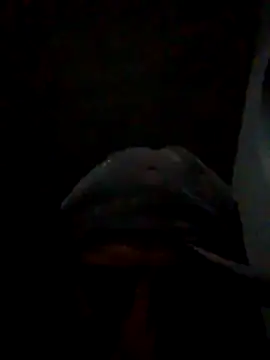 Orlao25cm online show from November 15, 1:51 am