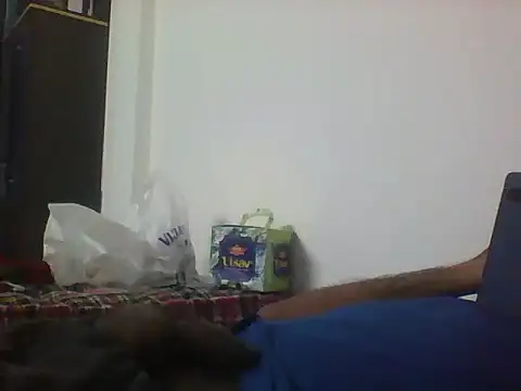 sugar seeker online show from November 21, 6:29 pm