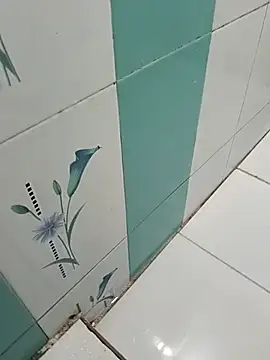 naveen 3222 online show from October 29, 8:17 am