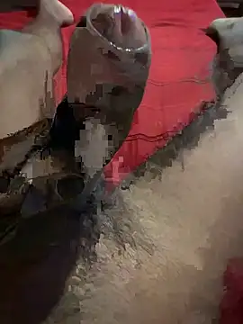 vijay20k online show from March 3, 8:16 pm