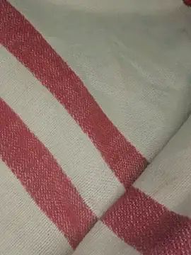 hotman29 online show from January 14, 11:19 pm