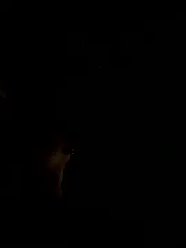 RonnySlim online show from January 6, 3:49 pm