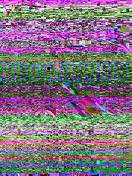 pau1920g online show from December 1, 8:12 pm