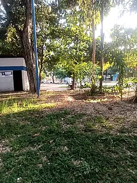 Mchljjk online show from January 5, 8:23 pm