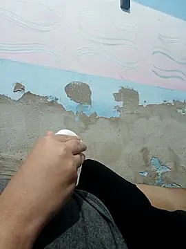 AVALIAminhaPika online show from February 9, 1:32 am