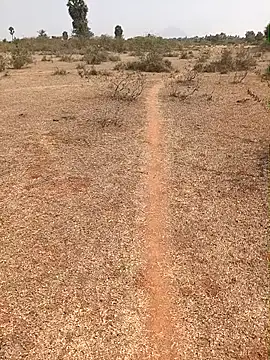 Tamilpaiyan07 online show from February 9, 7:02 am