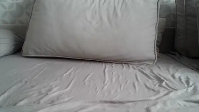 apollo81 online show from February 18, 9:51 am