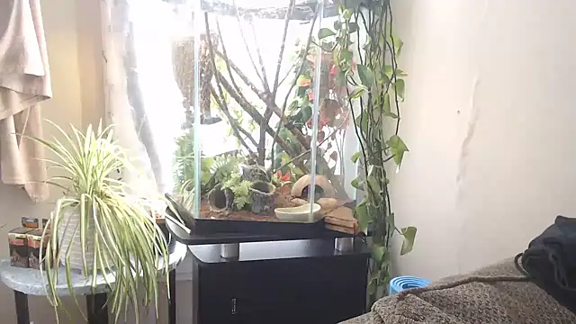 EspanolVato online show from April 15, 7:58 pm