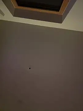 DaleBoca online show from February 16, 8:51 pm