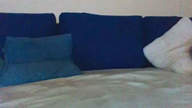 gaynimesbm online show from April 22, 2:33 pm