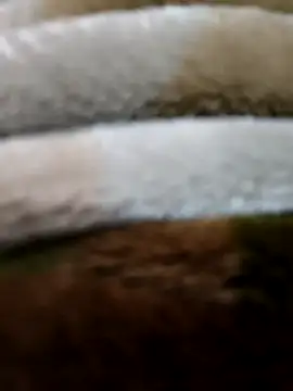 beast 0003 online show from April 29, 3:49 pm