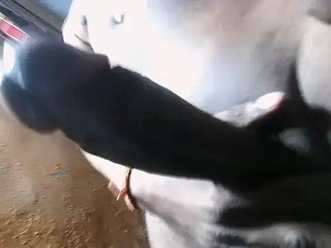 Snapshot of desiboy1101 chatting on February 14, 1:29 pm desiboy1101 online show from February 14, 1:29 pm