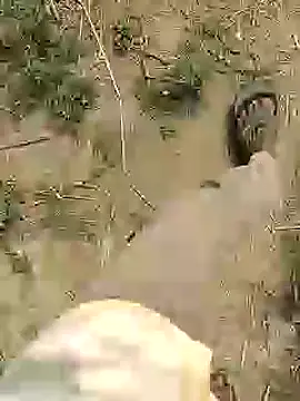 ThethunderPo online show from February 25, 7:42 am