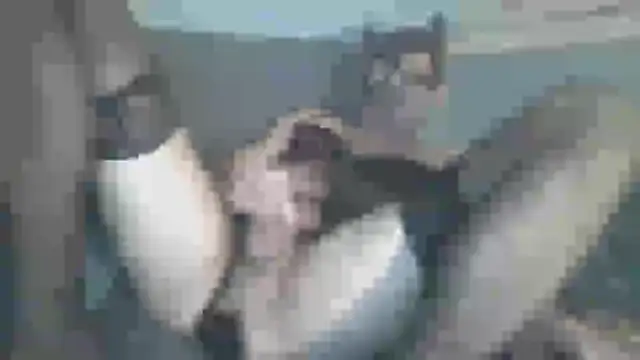 chceciedalsiebie online show from February 3, 2:53 am