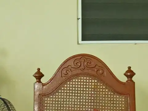 thesugar32 online show from February 6, 1:08 pm