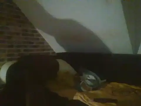 Snapshot of InMeinenMund chatting on December 15, 3:45 am InMeinenMund online show from December 15, 3:45 am