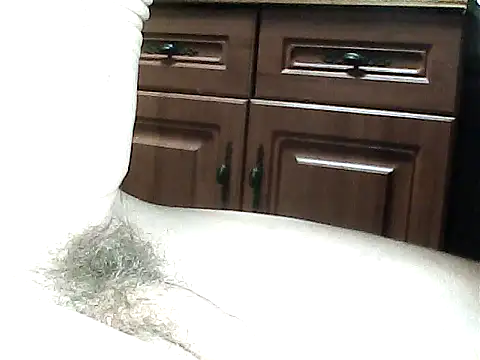 abbysCake online show from March 6, 5:46 am