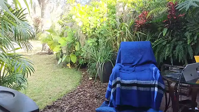 eliberator1777 online show from December 10, 3:44 pm