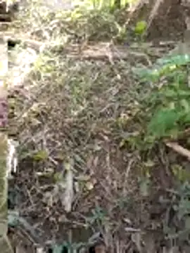 FinableKnee online show from November 30, 6:04 am